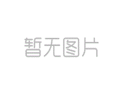 后端大模型智能产